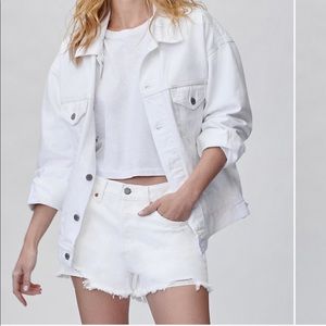 Aritzia Denim Forum Ex Boyfriend Short